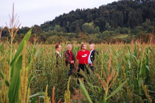 Winne mit Martin Häusling (MdEP) im Maislabyrinth in Kiebingen am 03.09.2010