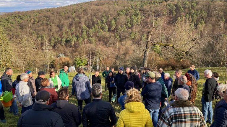 Obstbäume pflanzen, pflegen und schneiden