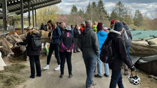 Felder-Tour-Beate 3 1280x720 web